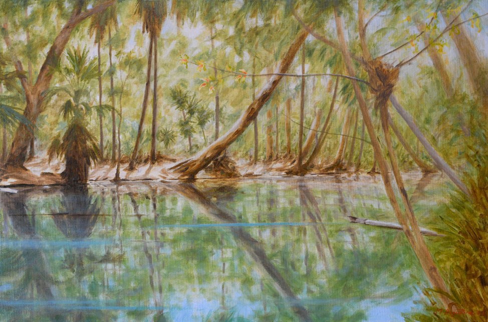 Riverbank 61x91cm $1300